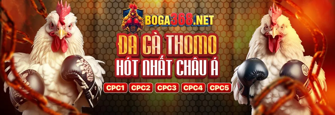 Các Cấp độ VIP của 85win nhà cái